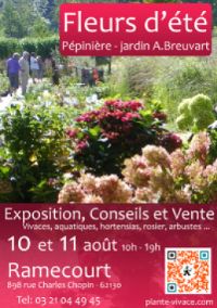Fleurs d'été, pépinière et jardin A. Breuvart. Du 10 au 11 août 2013 à Ramecourt. Pas-de-Calais. 